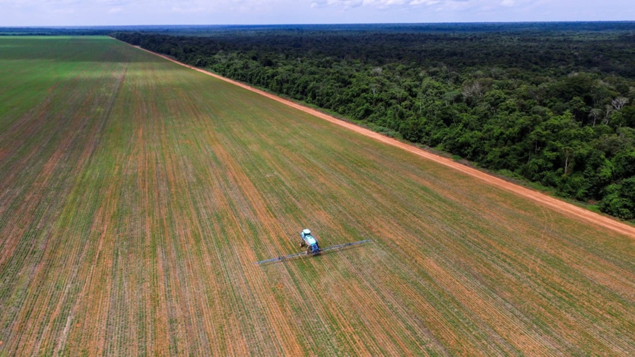 Spraying pesticides in a soybean field in Brazil