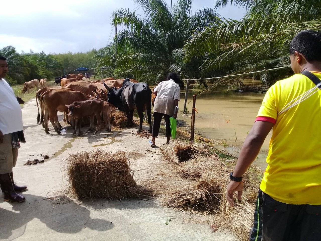 Flooding in Thailand 4