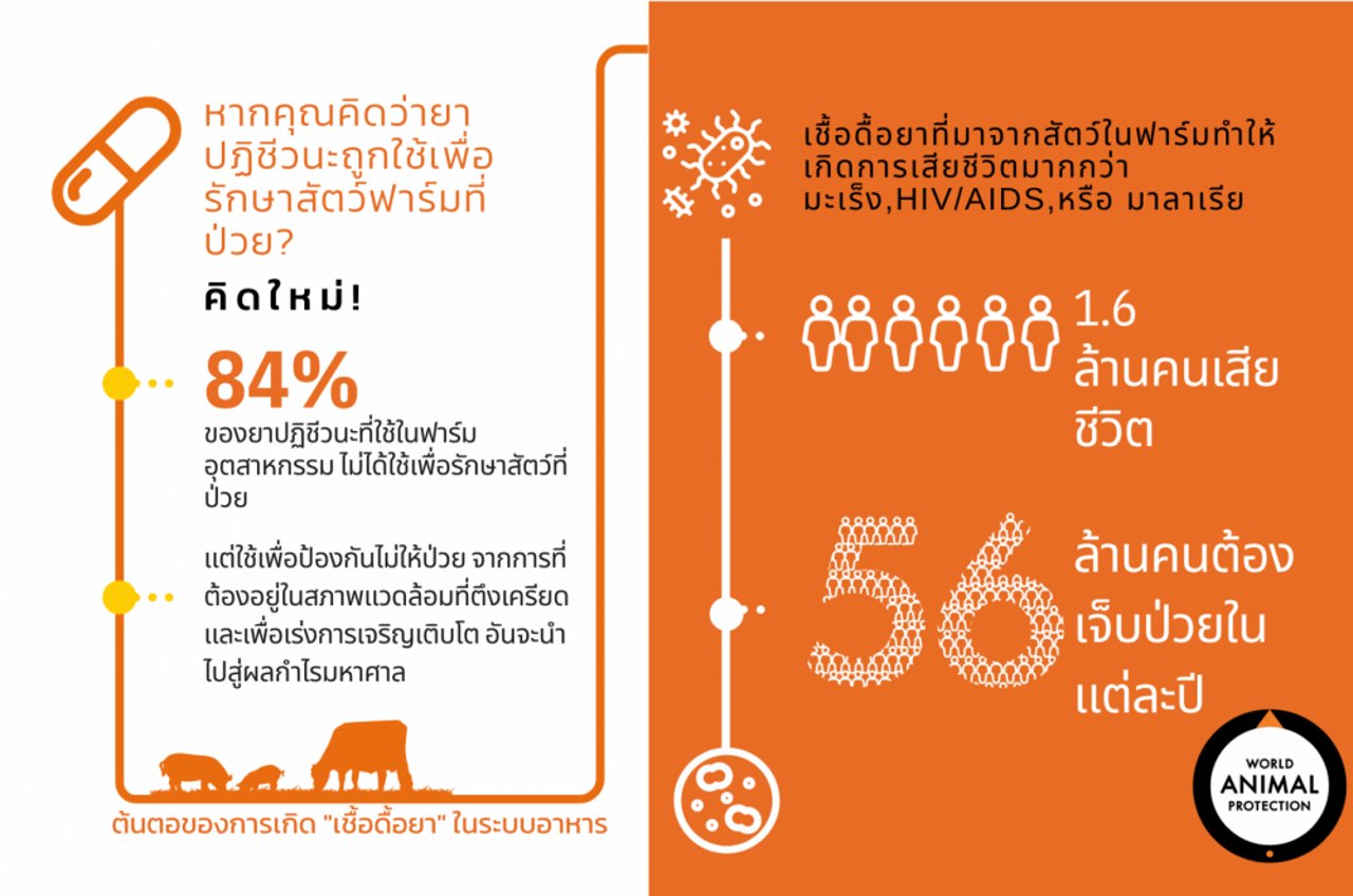 วิกฤตด้านสุขภาพจากแบคทีเรียดื้อยาปฏิชีวนะ