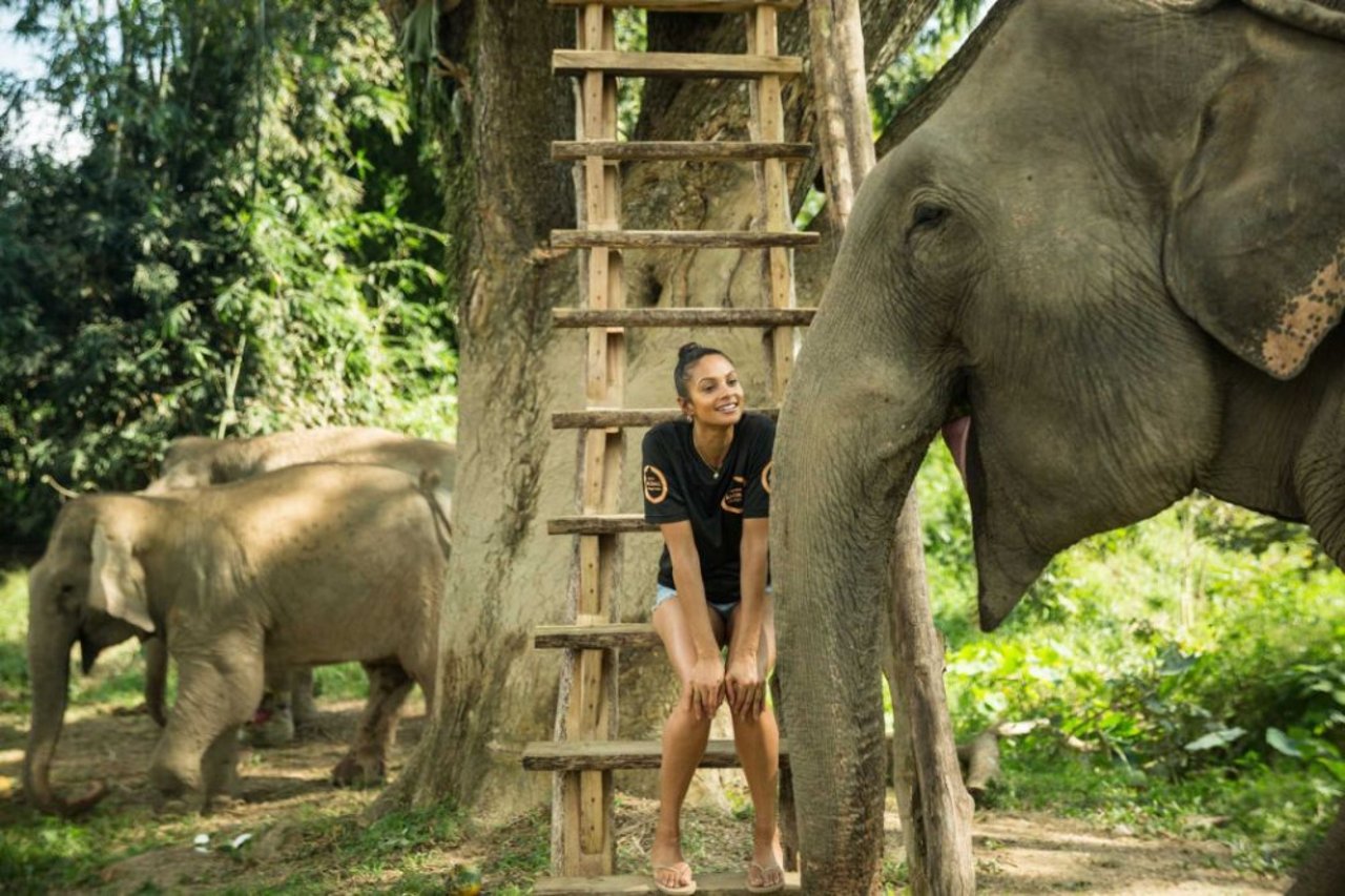 alesha_dixon_meets_lotus_on_a_visit_to_boon_lotts_elephant_sanctuary_bles_in_thailand_-_world_animal_protection_0