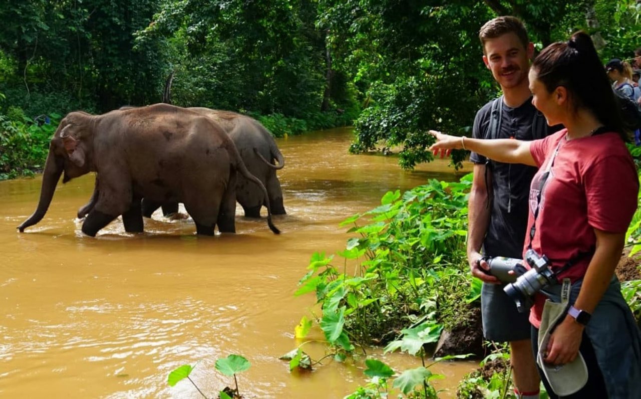 มูลนิธิหัวใจรักษ์ช้าง