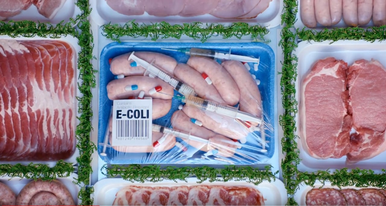 Superbugs in supermarket meat