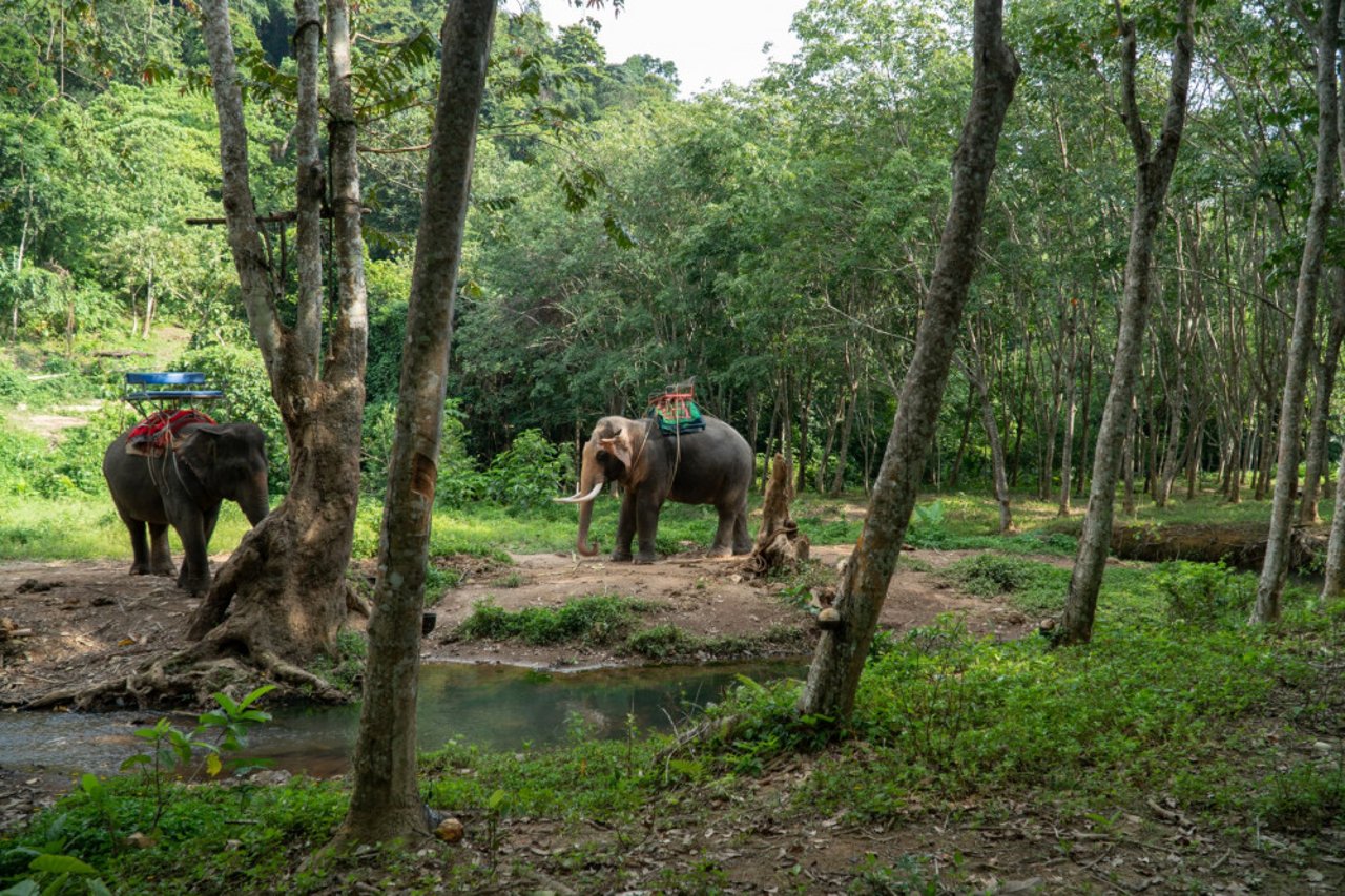 eco-tourism