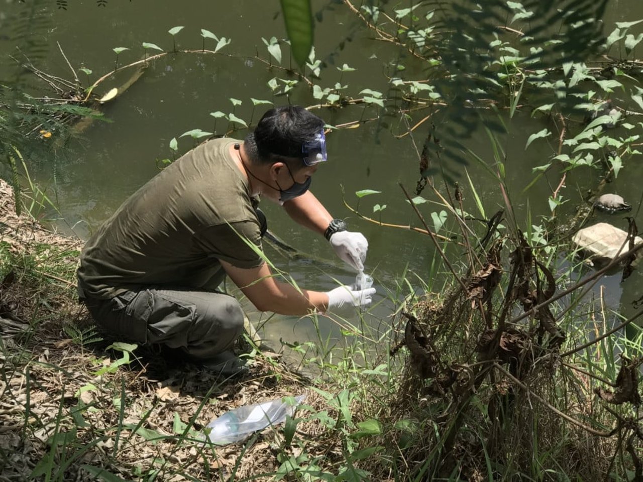 Water testing near a factory farm - World Animal Protection