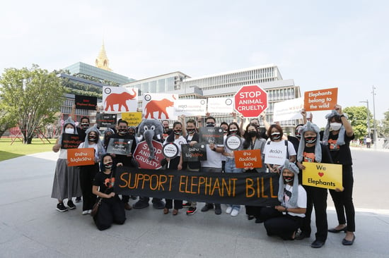 Elephant Bill Protest