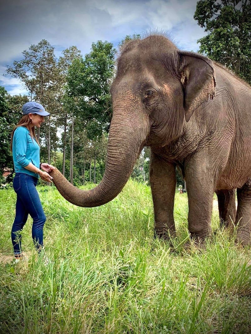 Boon Lott’s Elephant Sanctuary (BLES) หรือ ศูนย์บริบาลช้างบุญรอด