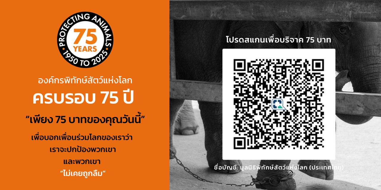 75 years