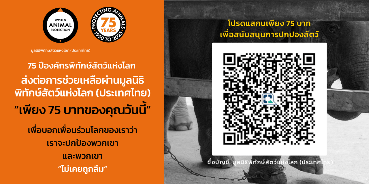 75 years homepage-3