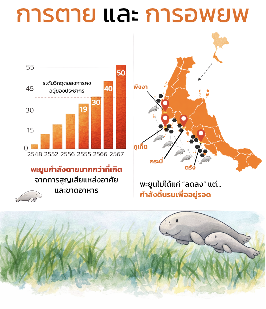 dugong graph