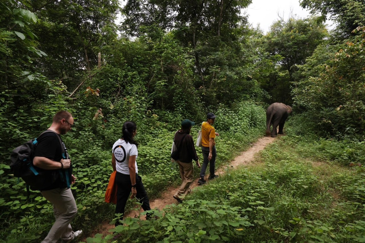 walking