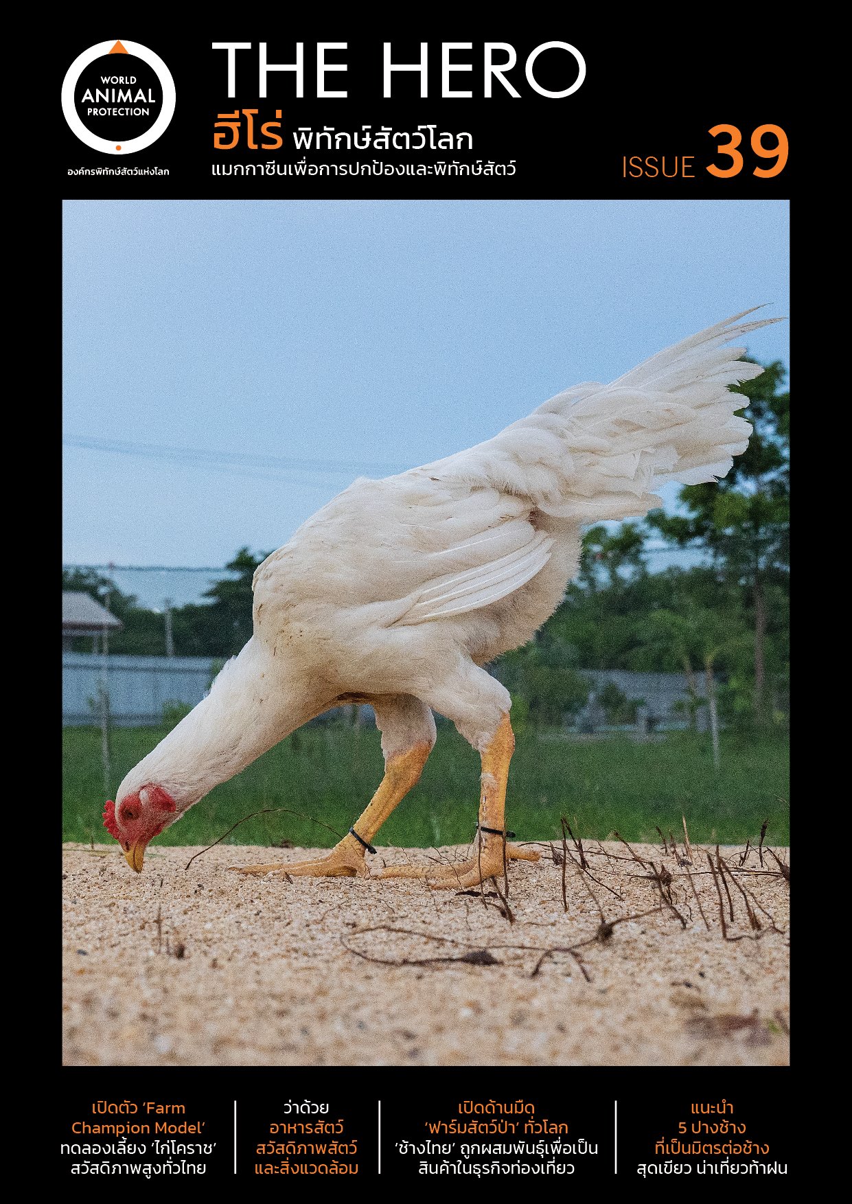 WAP_Issue39