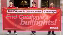 World Animal Protection
