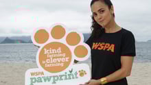 World Animal Protection