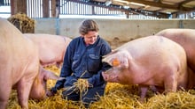 World Animal Protection