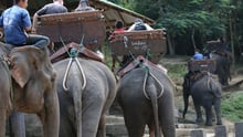 world tourism day