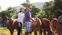Sirin Farm