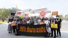 Support Elephant Bill