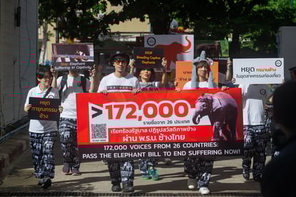public facing campaign