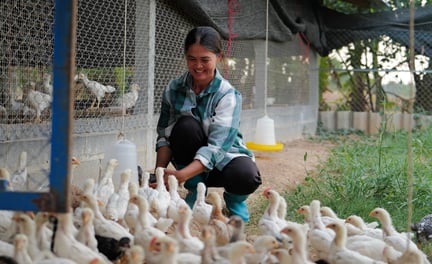 Farmer feeds the chicken
