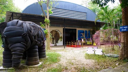 elephant interactive museum