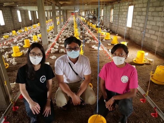 ADSH team in the chicken farm