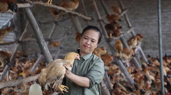Woman is holding the chicken