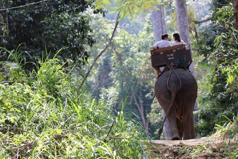 World Animal Protection Thailand