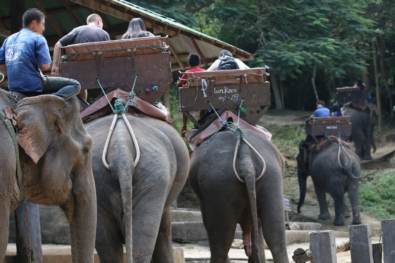 world tourism day