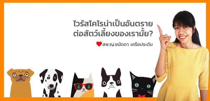 Corona Virus in pets