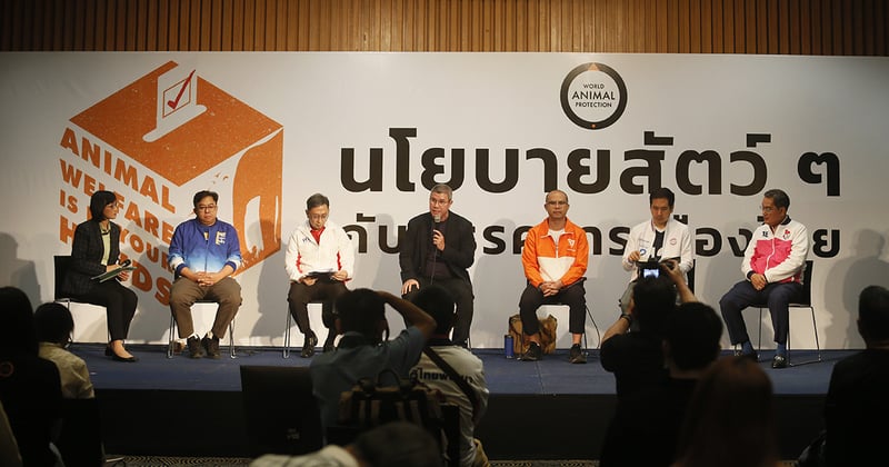 จับตานโยบายสวัสดิภาพสัตว์ กับมุมมอง 6 พรรคการเมือง