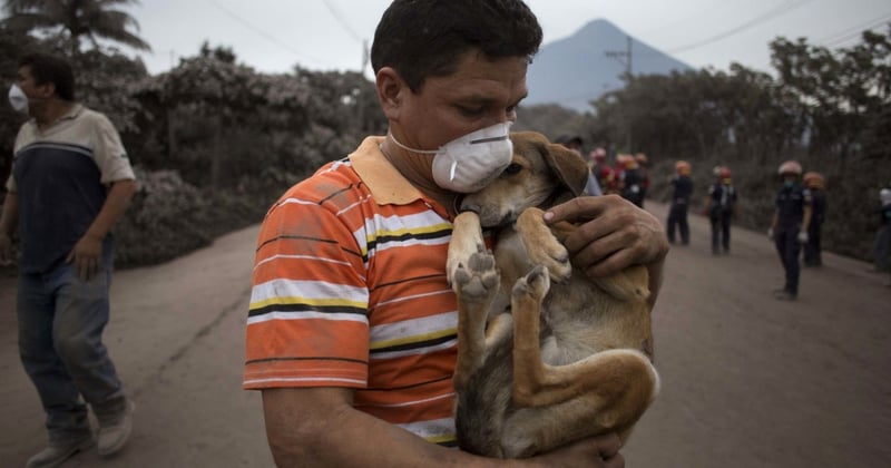 Un residente abraza a su perro después de rescatarlo cerca del Volcán de Fuego, en Escuintla, Guatemala, el lunes 4 de junio de 2018. Una ardiente erupción volcánica en el centro-sur de Guatemala envió lava a las comunidades rurales.(AP Photo/Luis Soto)