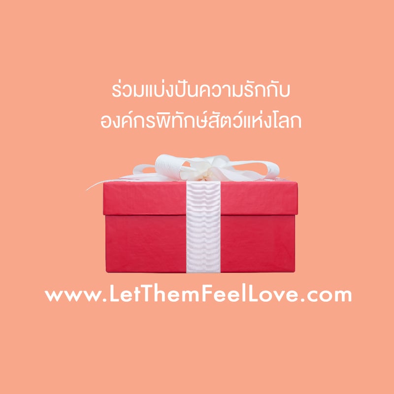 องค์กรพิทักษ์สัตว์แห่งโลก (World Animal Protection) ต่อกรณีล่าสัตว์ป่าในเขตรักษาพันธุ์สัตว์ป่าทุ่งใหญ่นเรศวร