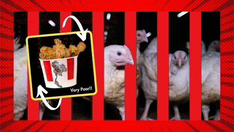 KFC Thailand