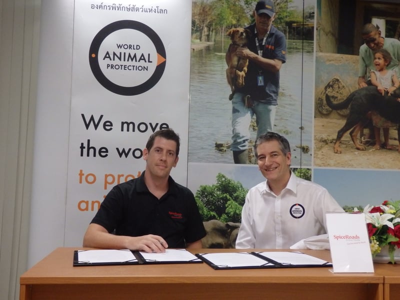 World Animal Protection Thailand