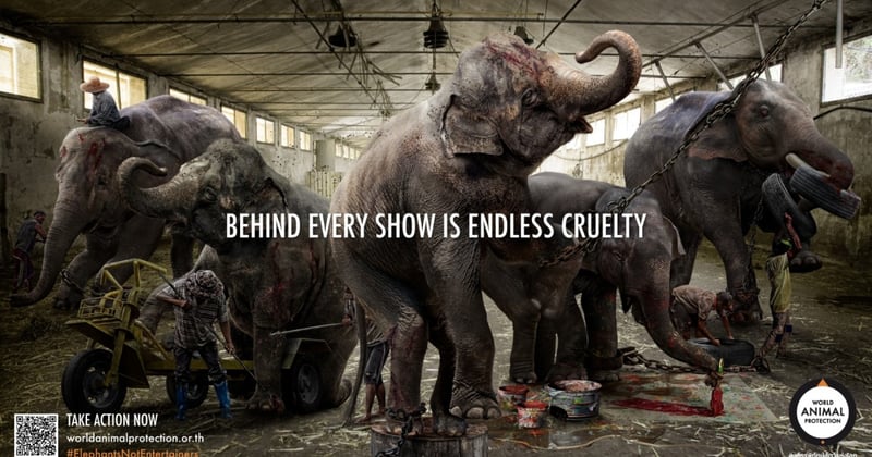 Behind the show