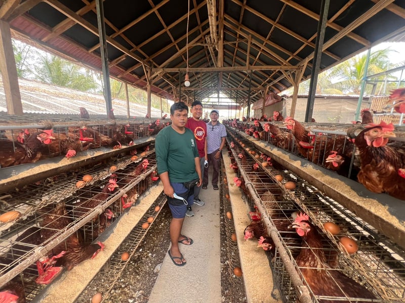 Raca Farm 2